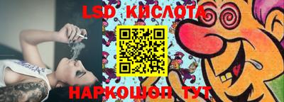 МДПВ Кингисепп