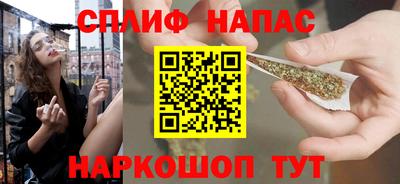 МДПВ Кингисепп