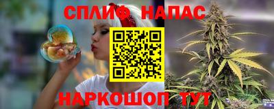 стаф Кинель