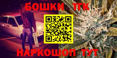 МДПВ Кингисепп