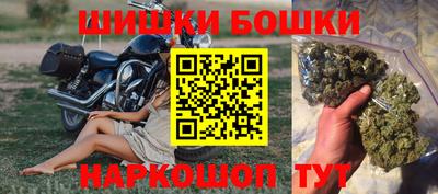 МДПВ Кингисепп