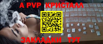 МДПВ Кингисепп