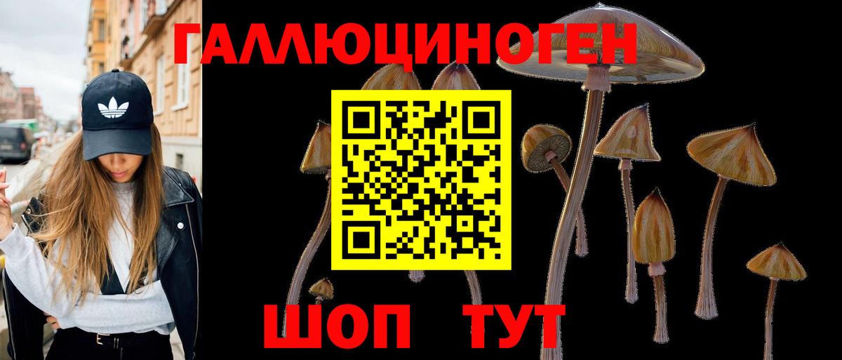 Псилоцибиновые грибы мухоморы Котовск