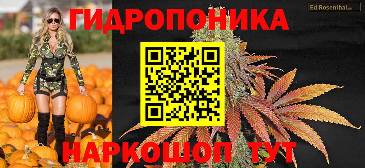 Каннабис Ganja  Марихуана OG Kush  Конопля OG Kush  Котовск  Вход с VPN 